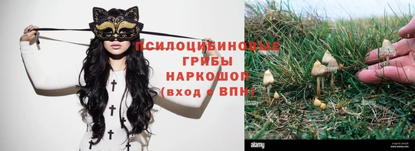 герыч Балахна